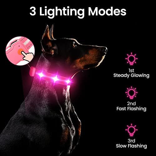 Guler de câine luminat HZK, guler cu strălucire LED cu USB reîncărcabil luminos luminos, cu guler intermitent, 4 culori, cu