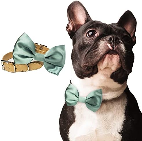 Sage Dog Bowtie guler, câine de nunta guler, palid Sage nunta câine guler, guler de câine Formale, Îmbrăcăminte de nuntă pentru