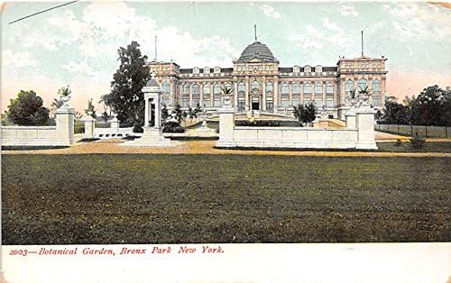 Bronx Park, New York Postcard