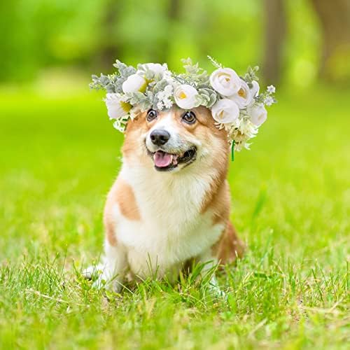 Honoson câine nuntă cu guler cu guler câine nuntă coroana coroană de coroană, pentru nunți inel de flori animale de companie pisici și câine, fotografie pentru animale de companie