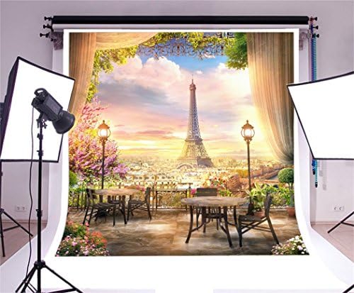 LFEEY 8x8ft Franceză vis Paris Turnul Eiffel fundal Cortina flori City View fotografie fundal Youtube Photo Booth Studio Prop