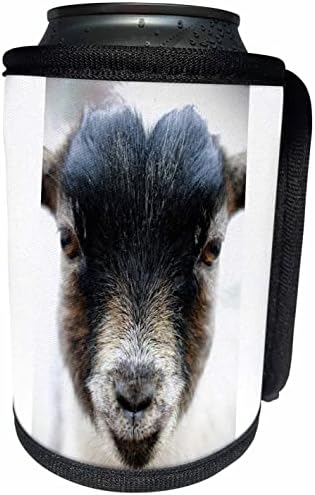 3Drose o fotografie macro a unui adorabil portret de capră pentru copii. - Poate o înveliș cu sticlă mai rece