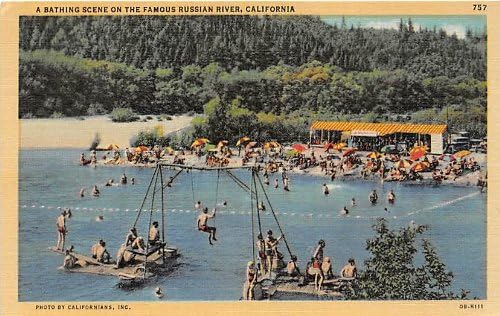 Russian River, California Postcard