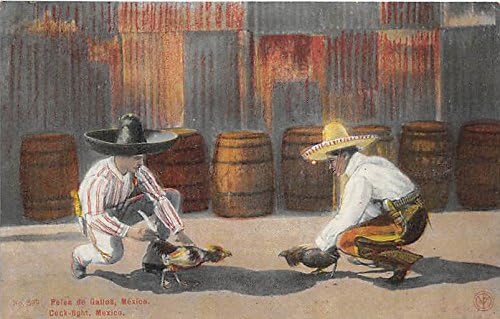Calea de Gallos, Cock Fight Mexico Old Vintage Postcard Card poștal