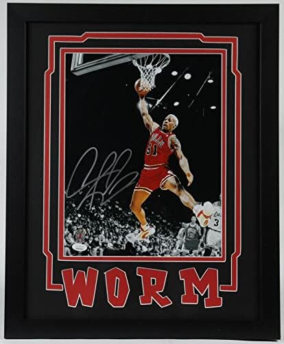 Dennis Rodman a semnat autografat 11x14 Photo încadrat JSA Authentic Bulls 6 Worm - Fotografii NBA autografate