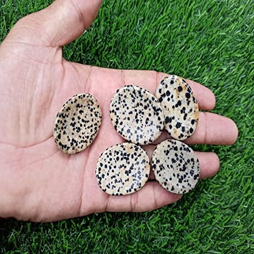 Dalmatian Jasper îngrijorare Piatră pentru vindecare de cristal Pocket Palm Stone Stone Tumb 1 PCS