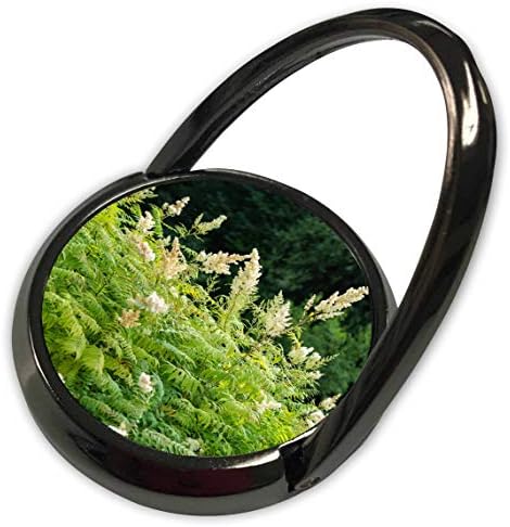 3Drose Alexis Photography - Textura naturii Floral - Gard Gard Gard of Summer Plants. Copaci de verde închis în fundal - inel de telefon