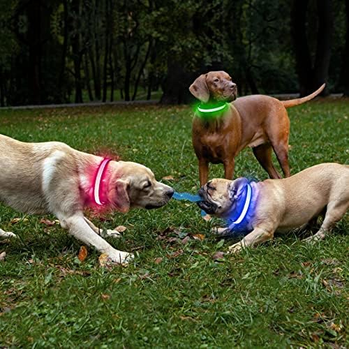 Gulere pentru câini Bseen Light Up - strălucire în gulerele de cățeluși întunecate pentru câini mici, guler de câini LED reîncărcabil,