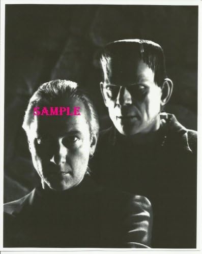 Frankenstein Monster cu Colin Clive ca Dr. Frankenstein Photo 8x10 H3500