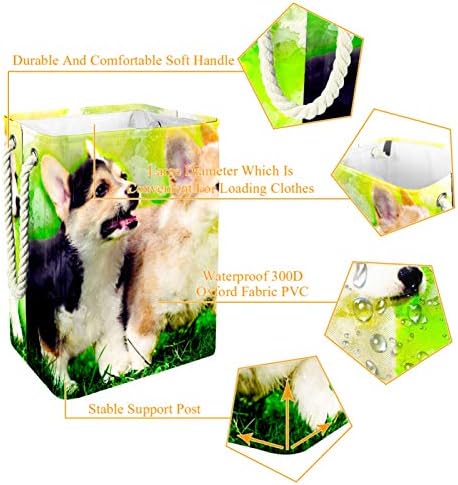 Coșuri de rufe impermeabile Deyya înalt Robust pliabil acuarelă câine Animal Art Print împiedică pentru copii adulți băieți