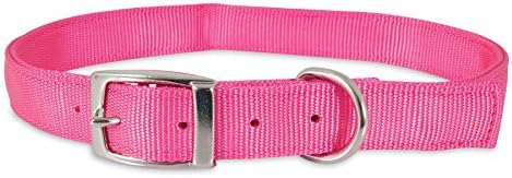 Petmate Aspen PET Products Nyl 2Ply Collar, Pink, 1 'x 26'
