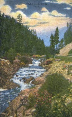 Somon River, Idaho Postcard
