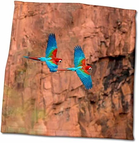 3dRose Brazilia, Jardim. Macaws roșii și verzi care zboară în dolină. - Prosoape