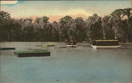 Barci de sticlă din sticlă și plute de baie Wakulla Springs, Florida FL Carte poștală antică originală
