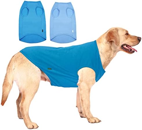Cămașă albastră a câinelui Sychien, tricouri mari, tricouri mari, tricou Dachshund, XL Blue Royal